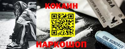 шишки Новодвинск