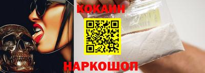 шишки Новодвинск
