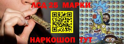 шишки Новодвинск