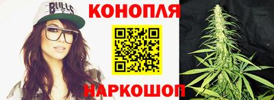 шишки Новодвинск