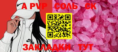 шишки Новодвинск