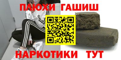 шишки Новодвинск